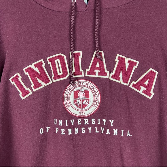 University of Pennsylvania Indiana Pullover Champion Hoodie XL - Picture 3 of 5